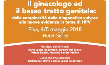 Congresso AGITE Toscana "Il ginecologo ed il basso tratto genitale" Presidenti: Karin Louise Andersson, Barbara Del Bravo, Valeria Dubini, Massimo Sandro Viglino